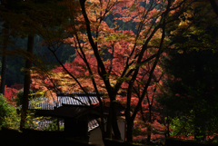 211116d吟松寺53