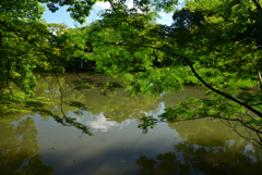 240604京都植物園56