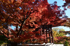 231121c智積院12