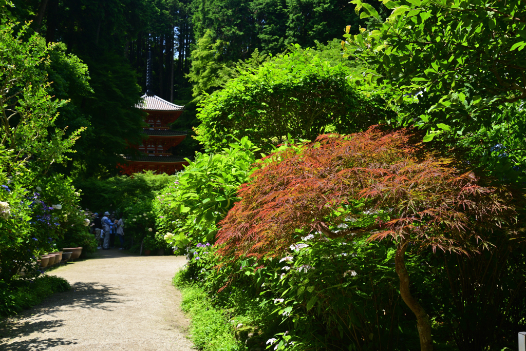 220612a岩船寺45