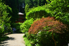 220612a岩船寺45