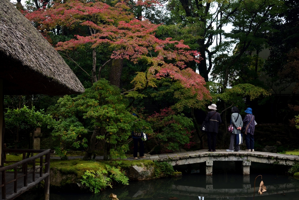 181101a白沙村荘22