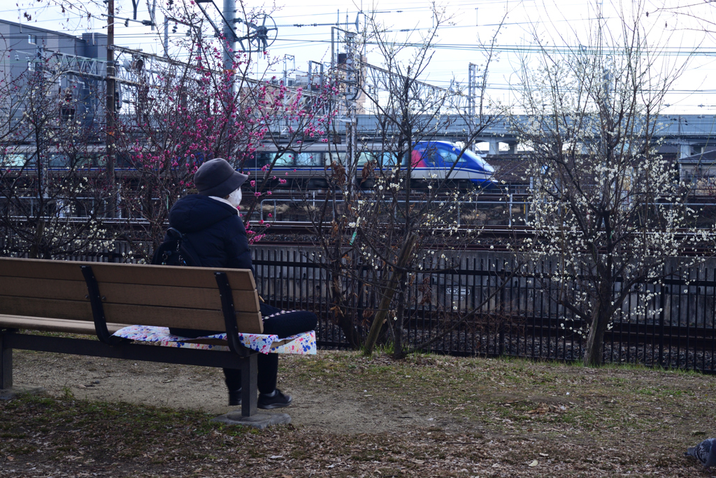 220222e梅小路公園04