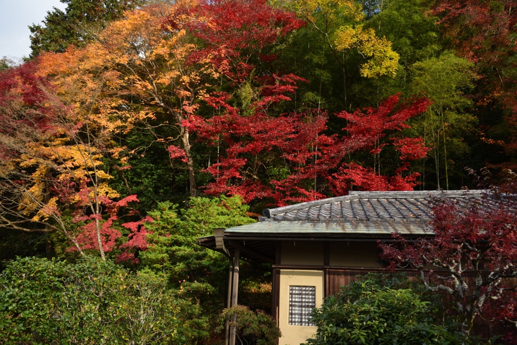 181130b南禅寺方丈22