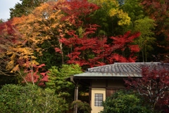 181130b南禅寺方丈22