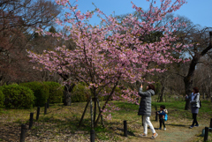 190315京都植物園43