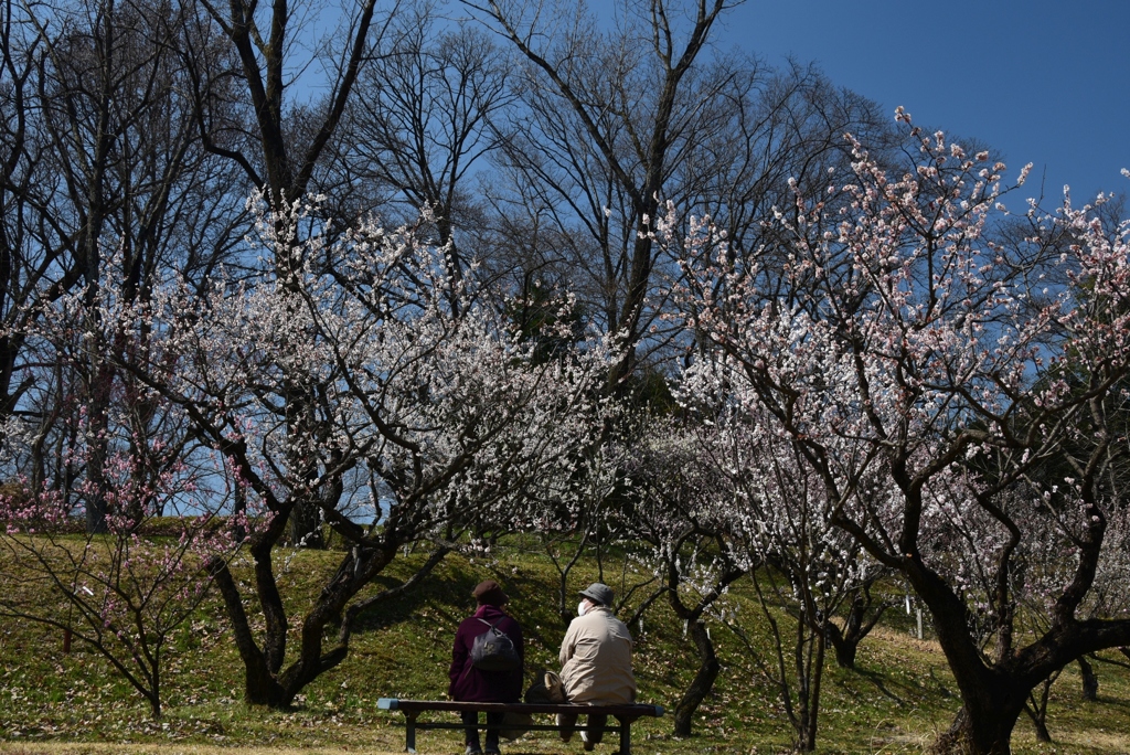 180314b市大植物園38