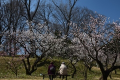 180314b市大植物園38