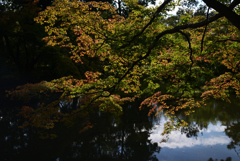 211022京都植物園51