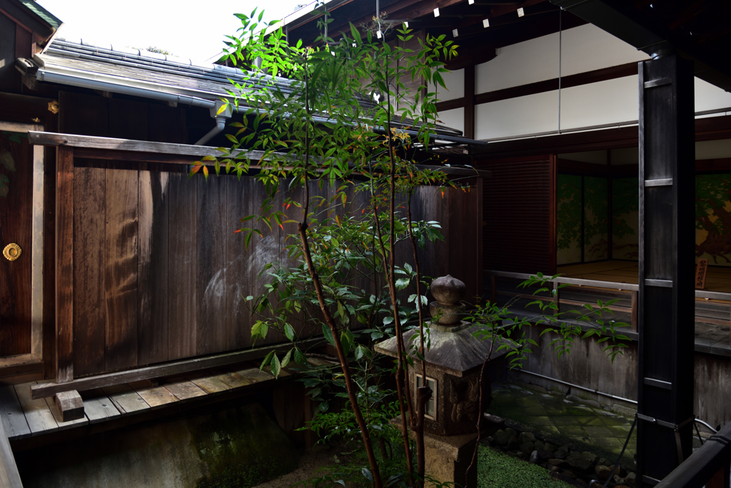 190205b妙心寺龍泉庵29