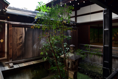 190205b妙心寺龍泉庵29