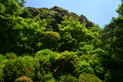 220529c安楽寺22
