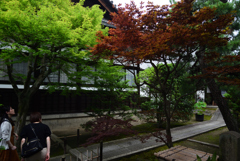190713a東福寺04退耕庵