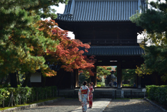 191117b建仁寺03