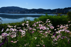 2501023びわ湖大津館37