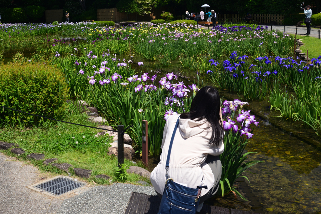 240603b城北公園17