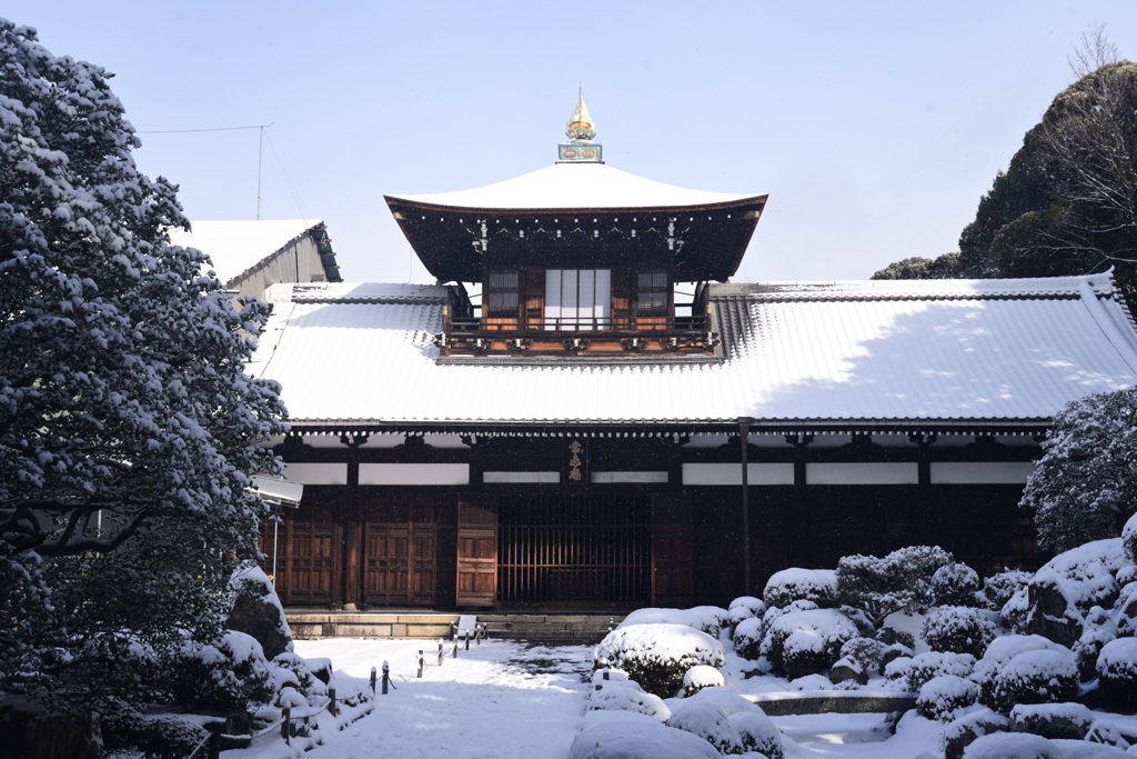 250208a東福寺24