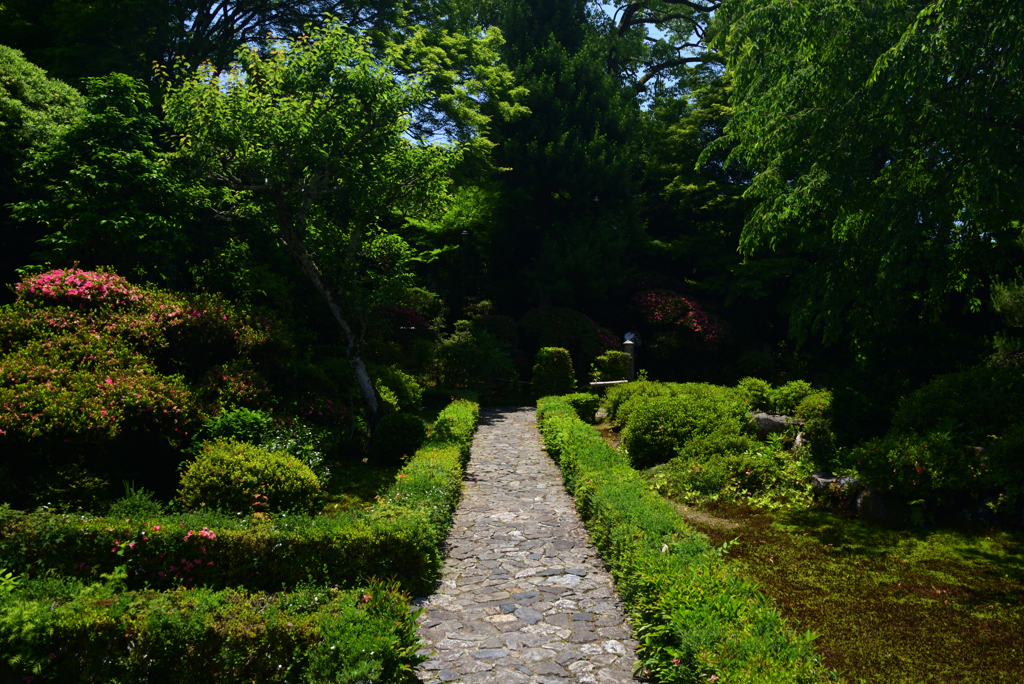 220529c安楽寺11