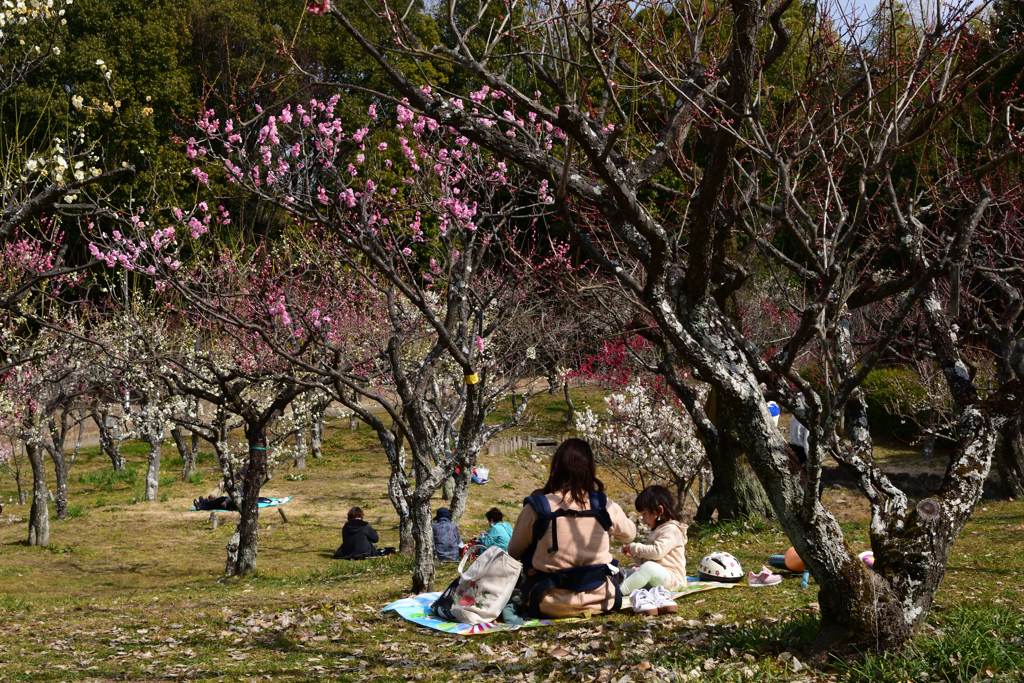 220305a山田池公園43