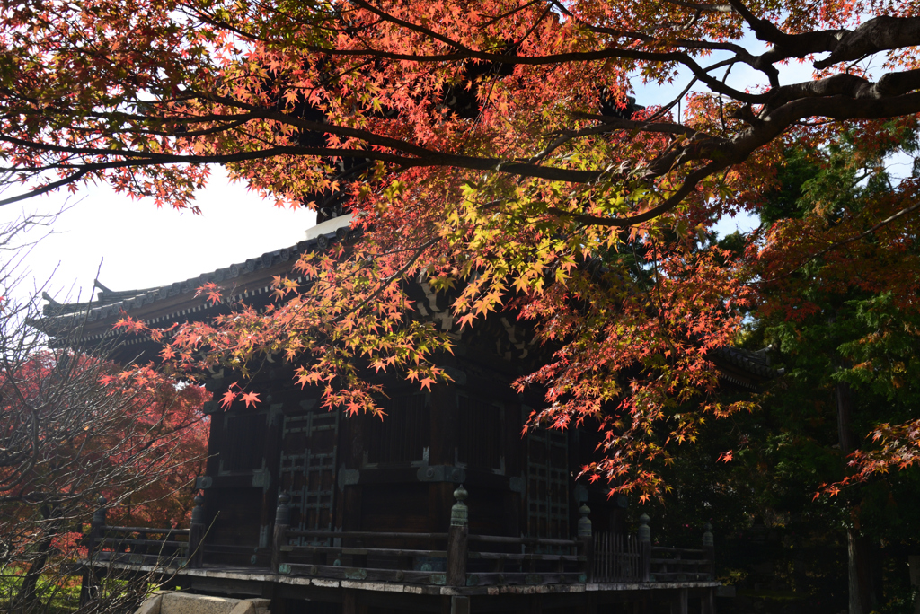 211119a清凉寺16