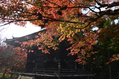211119a清凉寺16