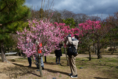 230226万博公園51