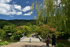 180826c円山公園06