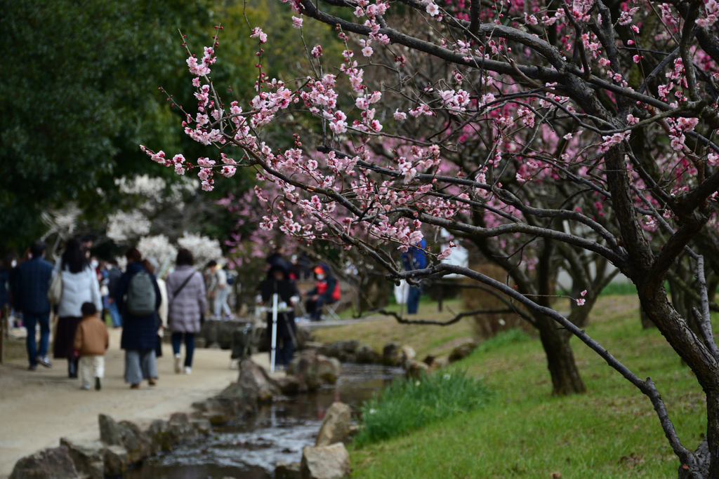 230226万博公園44