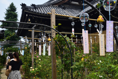 190728cおふさ観音13