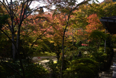 211106c西明寺19