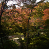 211106c西明寺19