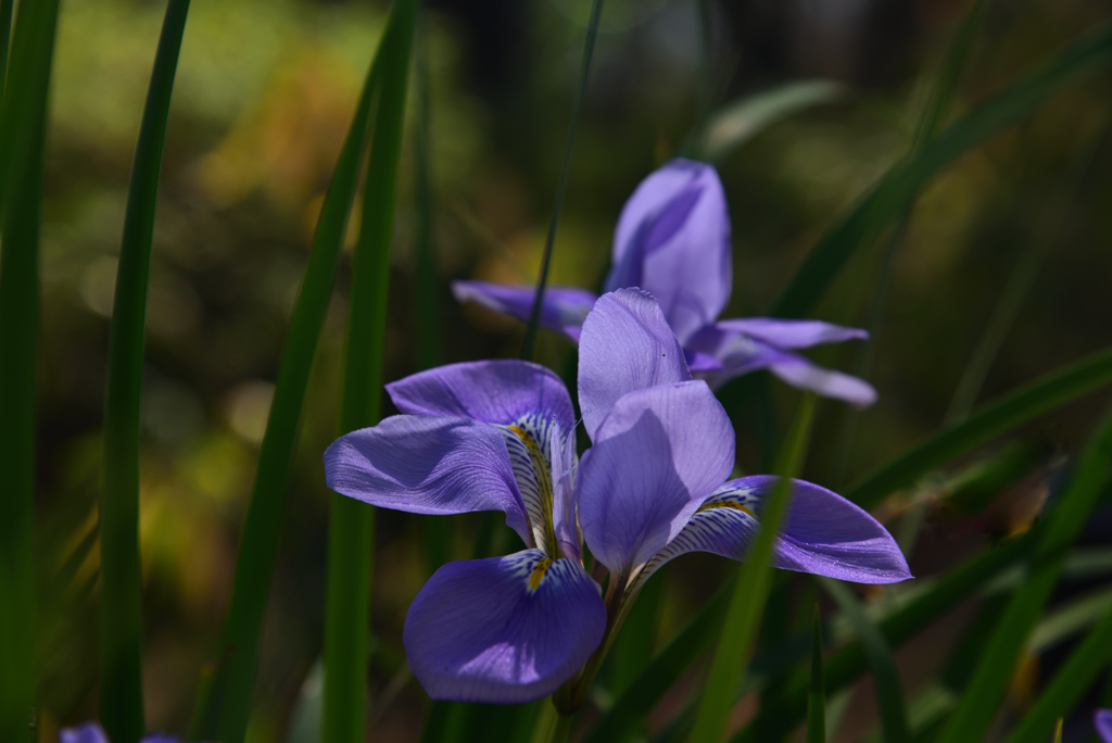 190226b大和文華館46