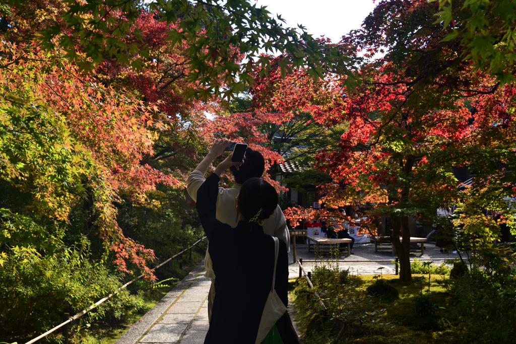 221111c常寂光寺10