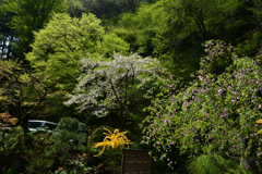 250419b貴船02