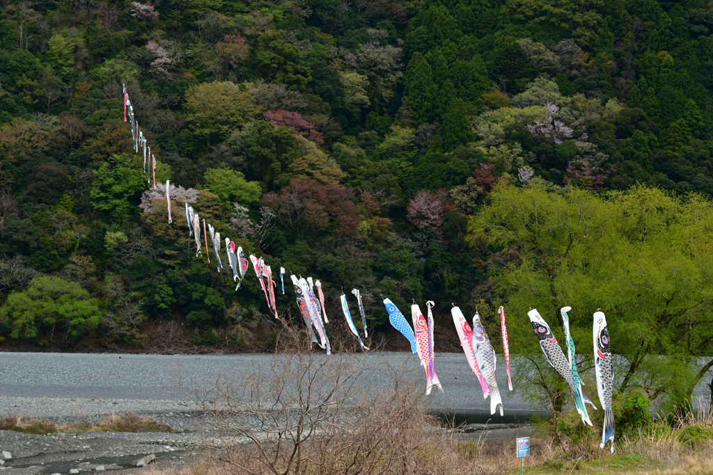 250406g家山20