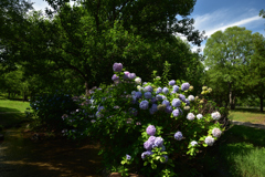 200702鶴見緑地40