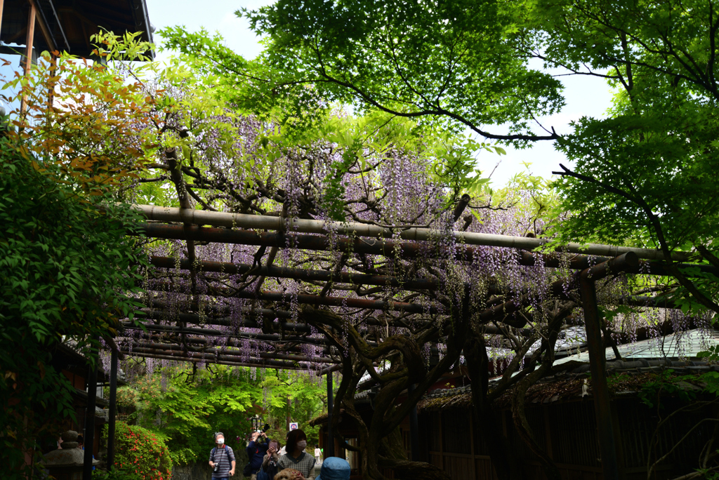 220423長岡天満宮45