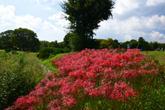 221001万博公園01