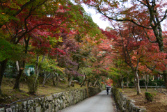191122c興聖寺20