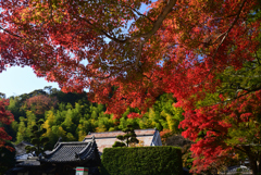 221112a久安寺02