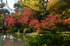 251114a京都植物園27