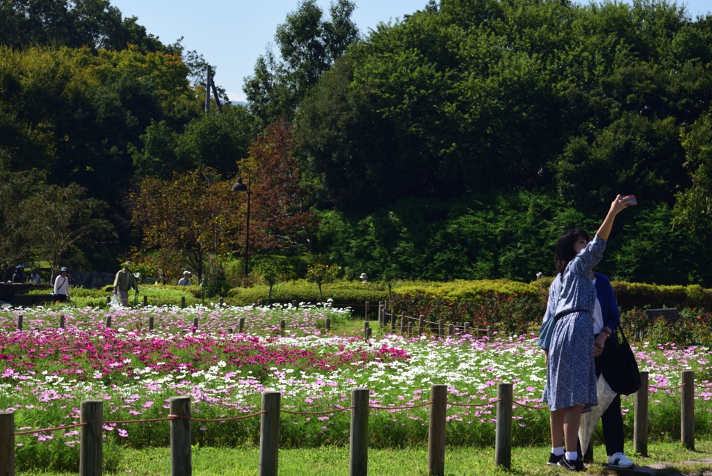 181009馬見丘陵33+