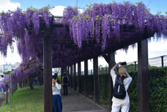 190426鳥羽下水場18