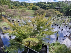 251013梅小路公園HDR