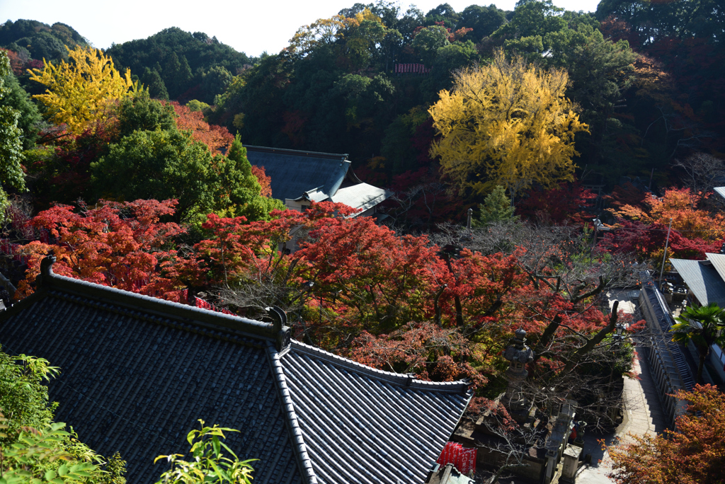201118信貴山49