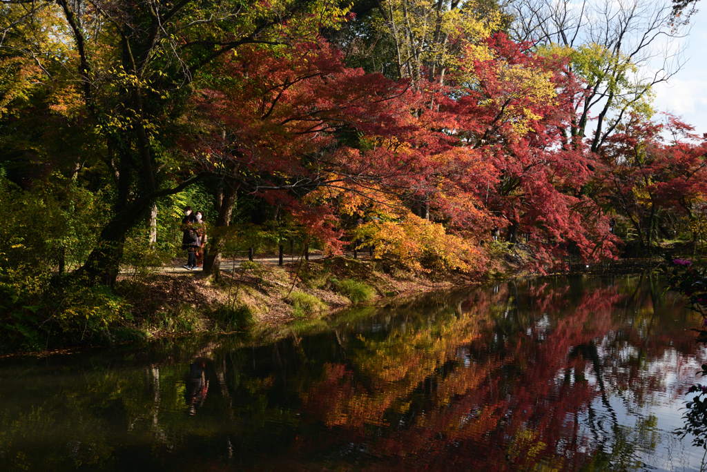 211116京都植物園24