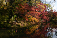 211116京都植物園24