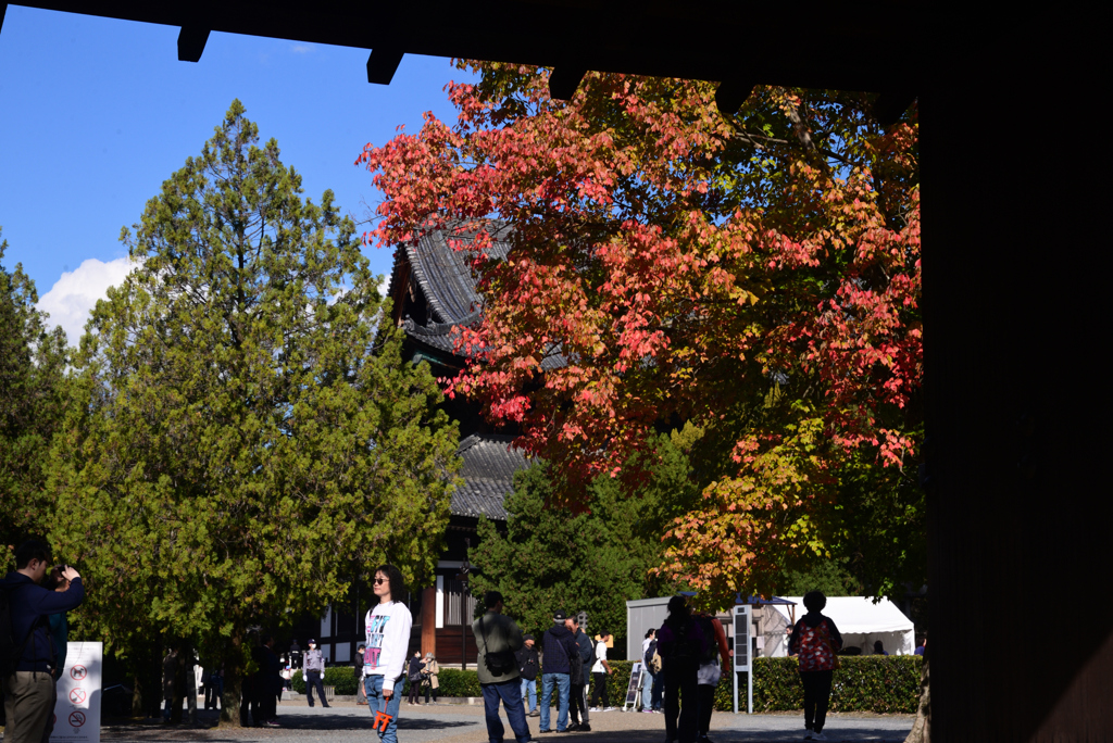 241121i東福寺35