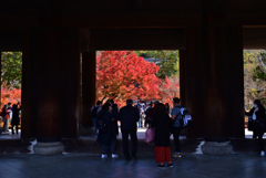 221127a南禅寺23