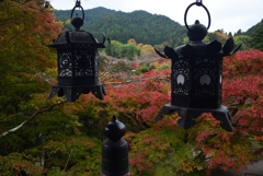 181114b談山神社43